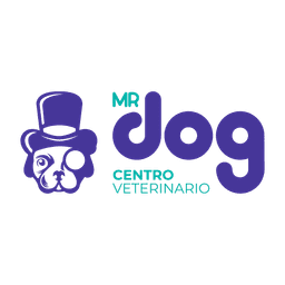 Mr. Dog